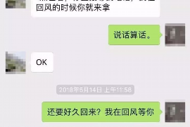 阜宁为什么选择专业追讨公司来处理您的债务纠纷？